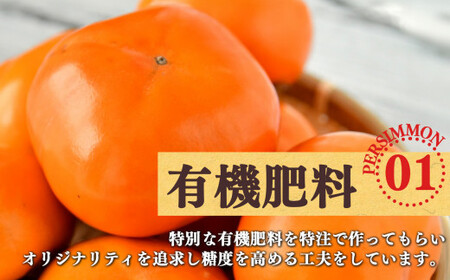 富有柿 約 4kg 12～18玉 | 果物 柿  梨子本農園 