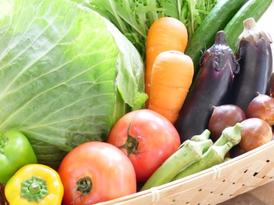 ＜京都産＞木津川市でとれた野菜詰め合わせを１２か月毎月送ります！ 野菜 やさい 詰め合わせ 定期便 野菜詰め合わせ 野菜定期便 新鮮 旬の野菜 季節の野菜 京野菜 産地直送 農産物直売所 12か月 12回　038-01