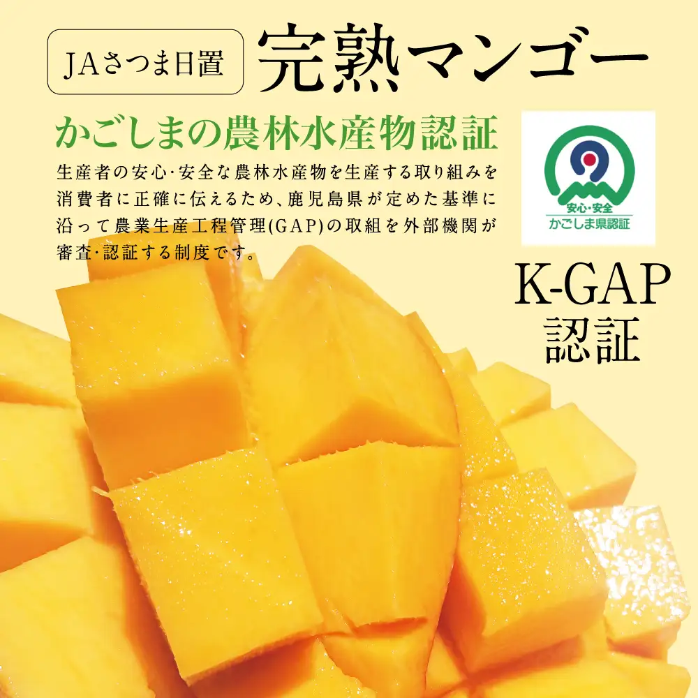 鹿児島県産 完熟マンゴー 3～4Lサイズ 2玉（化粧箱入り）［数量・期間 限定 ］マンゴー 完熟マンゴー トロピカルフルーツ 完熟 芳醇 国産 果実 果物 くだもの フルーツ 果肉 果汁 食品 デザート スイーツ おやつ 甘い ジューシー 旬 夏 季節限定 季節の果物 南国フルーツ 南国 おすすめ 高級 ご褒美 贅沢 グルメ 冷蔵 JAさつま日置 鹿児島 鹿児島県 南さつま市