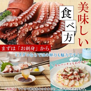 タコ 久慈産茹でタコ１kg