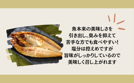 【健康干物】潮騒の一夜干し５種セット