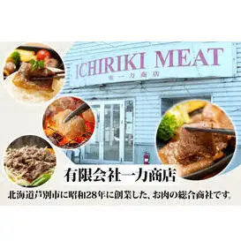 牛肉 北海道 和牛 カルビ 600g (300g×2パック) 小分け セット 一力商店 北海道産 霜降り肉 和牛カルビ 上カルビ 焼肉 焼き肉 味付け肉 味付き お肉 牛 肉 BBQ バーベキュー 惣菜 おかず お弁当 弁当 ごはんのお供 焼肉セット 冷凍 芦別市