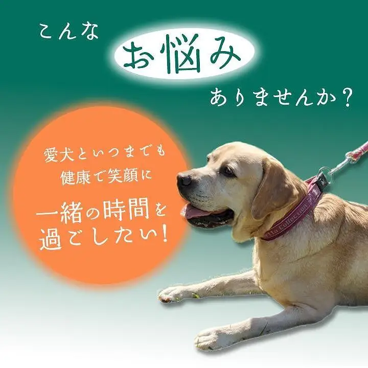 無添加 犬用 おやつ 鹿肉ジャーキー 400g｜鹿 ジャーキー ペット ドッグフード