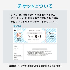 桜島半日カヤックツアー 2名様 ご利用券 K187-FT001