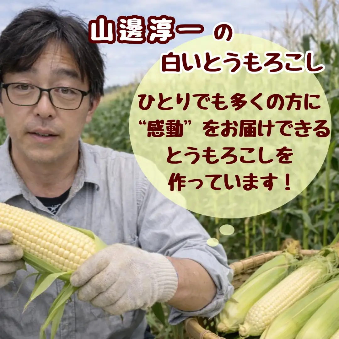 ＜2026年8月中旬よりお届け＞【朝採り】北海道壮瞥町 ホワイトコーン「ピュアホワイト」Lサイズ以上22本（約10kg） SBTQ002