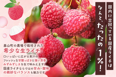 【先行受付】佐賀県産ライチ 大粒12個入(贈答用) K060012