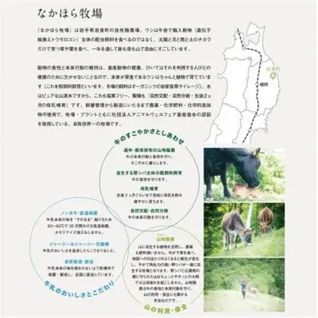 なかほら牧場のミルクアイス6個セット_菓子・スイーツ アイス・ジェラート  _【配送不可地域：離島】【1315192】