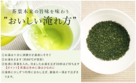 No.058-1 鹿児島茶 GOéN.ギフトセット【ノウフクJAS認証茶】（100g×2袋）