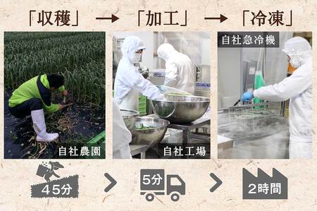 【高知家のうまいもの大賞グランプリ受賞】 かつおに合う葉にんにくぬた3袋×3個