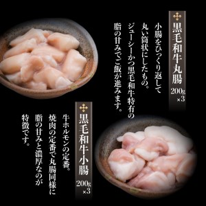 黒毛和牛 ！大人気の もつ （ ホルモン ）セット K002-006 肉 牛肉 冷凍
