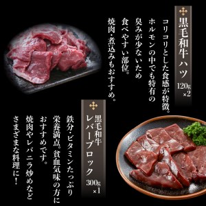 牛 もつ （ ホルモン ） 食べ尽くし ！ オールスター セット K002-008 肉 牛肉 冷凍