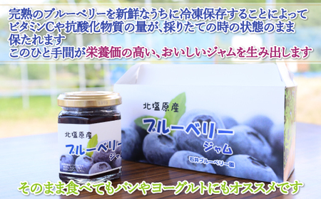 ブルーベリージャム100g×3個セット(石井ブルーベリー園) KBI001