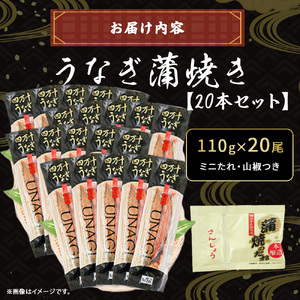 うなぎ蒲焼き（20本セット） うなぎ うなぎ蒲焼 高知うなぎ 国産うなぎ うな重 鰻 国産鰻 高知鰻 冷凍鰻 鰻蒲焼 四万十うなぎ 土用の丑の日 ／Esu-118