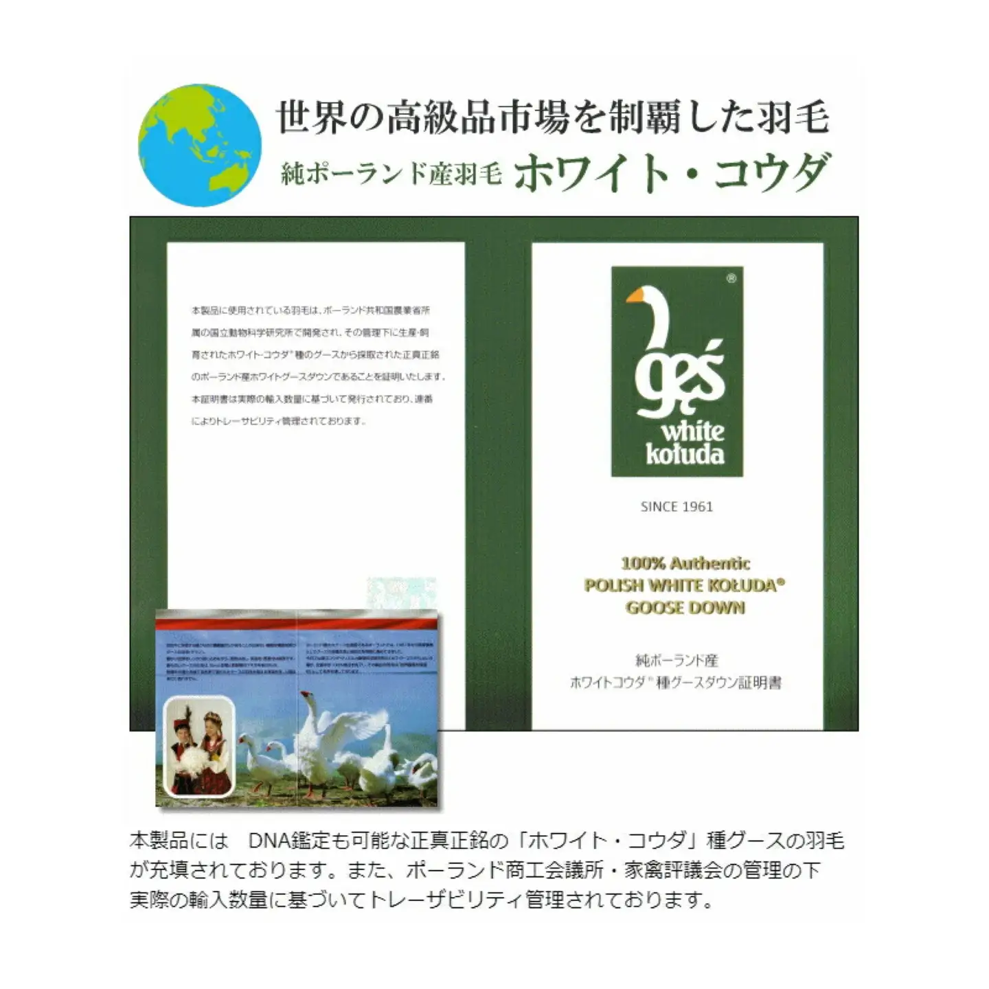 キング【プレミアムゴールドラベル】コウダ種ポーランドマザーグース95%羽毛【新津】｜ 肌掛け
