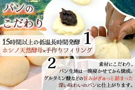 【秘境・椎葉村の愛されパン屋さん】 天然酵母パン 詰め合わせ 7種10個セット パン 天然酵母 詰め合せ セット メロンパン あん塩 バターロール おさつ ブレッド デニッシュ ミニ食パン レーズン バターロール NF-26