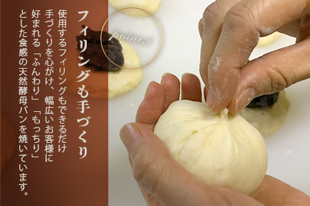 《3ヶ月定期便》【秘境・椎葉村の愛されパン屋さん】天然酵母パン 詰め合わせ 7種10個セット パン 定期便 天然酵母 詰め合せ セット メロンパン あん塩 バターロール おさつ ブレッド デニッシュ ミニ食パン レーズン バターロール NF-27