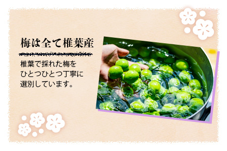 椎葉村産梅使用 梅酒「姫伝説」720ml×12本セット 梅酒 梅 お酒 ギフト SN-09
