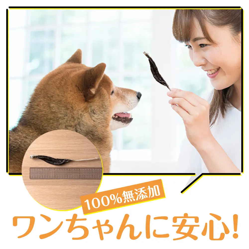 犬 おやつ 無添加 国産 エゾ鹿 アキレス ジャーキー (100g)