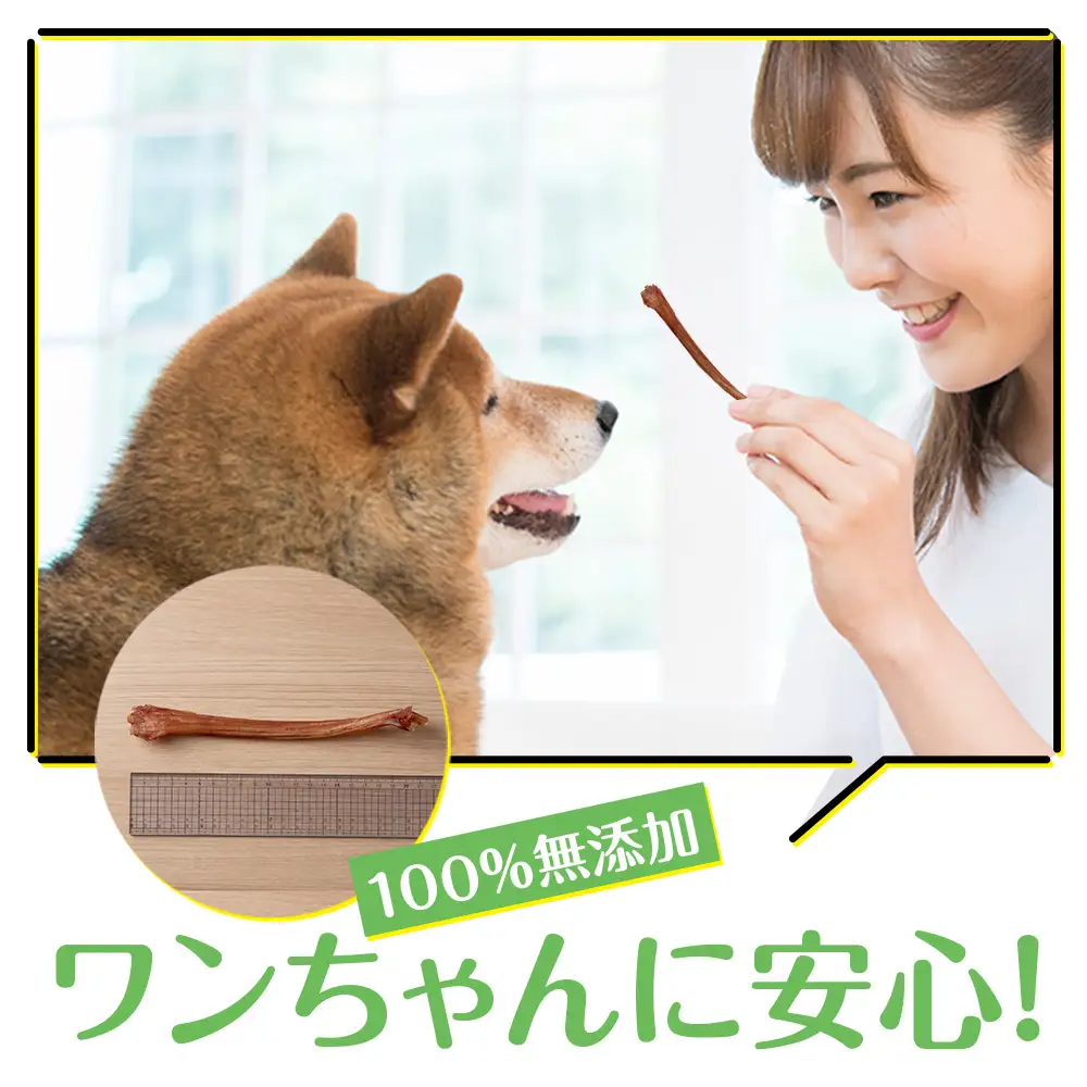 犬 おやつ 無添加 国産 エゾ鹿 アキレス 腱 (50g)