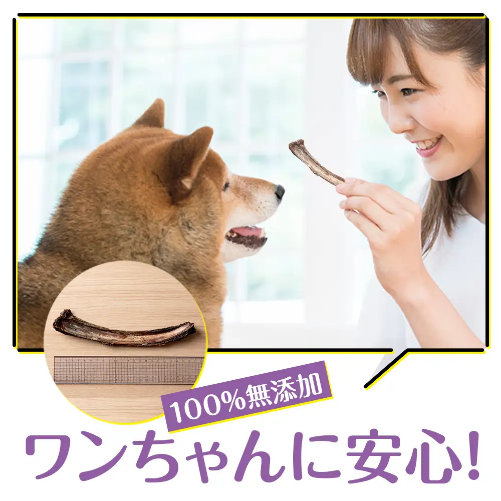 犬 おやつ 無添加 国産 骨 エゾ鹿 肉付き アバラ骨 (150g)