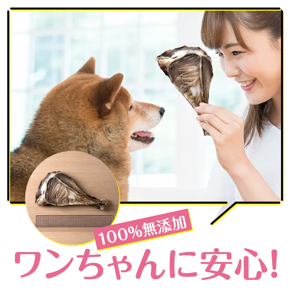 犬 おやつ 無添加 国産 骨 エゾ鹿 ボーン 肩甲骨 (約300g)