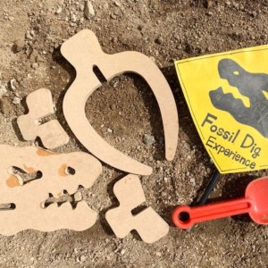 手作り恐竜 ティラノサウルス タイプ Sサイズ[ 恐竜 パズル 知育 キッズ 子供 おもちゃ 玩具 ] 立体パズル 組み立て 恐竜のほねほねパズル 工具不要 安全を考えて作られた 手作りの恐竜 