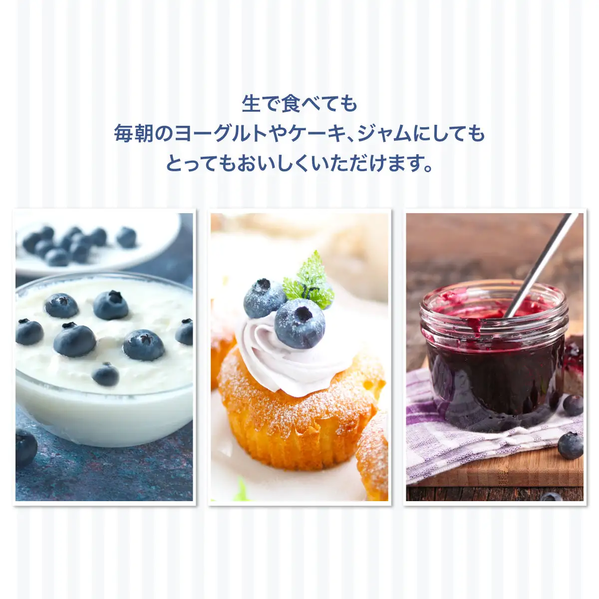 【先行予約】 令和8年7月下旬頃より発送  北海道七飯町産 生ブルーベリー 500g×2パック NAR001