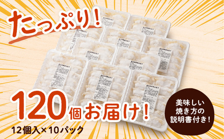 国産素材にこだわった黒豚餃子120個 K111-015 肉 豚肉 惣菜 総菜 冷凍