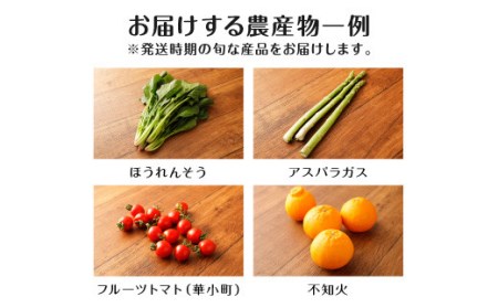 A7 　旬の農産物セット