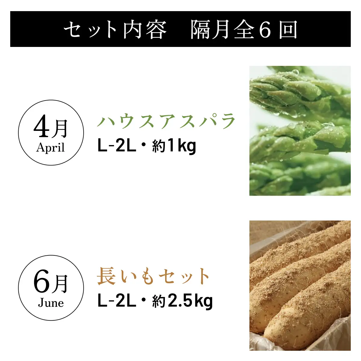 大空町プレミアムセット全6回 OSA025 | チーズ