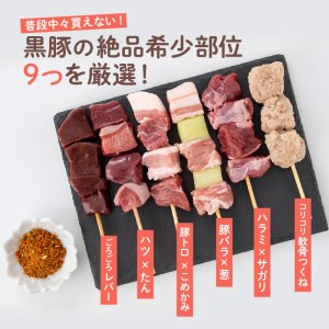 鹿児島県産黒豚串～焼きとん～【絶品ヘルシー希少部位6本セット計30本（生冷凍）】 特製スパイス塩付き K113-002 肉 豚肉 惣菜 総菜 冷凍