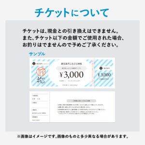潤風丸利用クーポン券（3,000円分） K153-FT001
