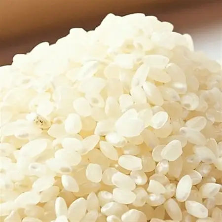 【令和7年産】となみ野米こしひかり5kg_ 精米 米    コシヒカリ 米 こしひかり_【1397287】