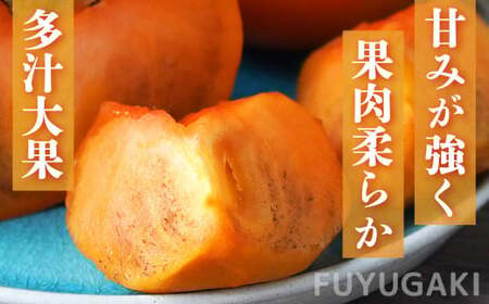 【 堀うち農園 】どっさり 約 7kg 訳あり 富有柿 | 人気 国産 産地直送 秋 旬 送料無料 大容量 特産品 家庭用 奈良県 五條市