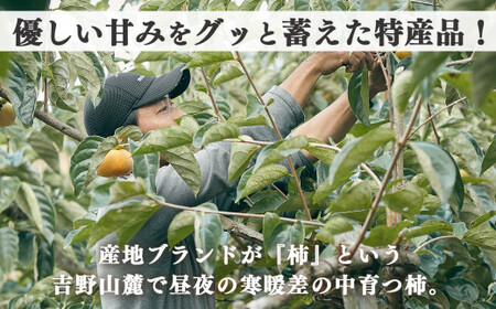 【堀うち農園】どっさり約7kg 訳あり たねなし柿 | 人気 国産 産地直送 秋 旬 送料無料 大容量 特産品 家庭用 奈良県 五條市