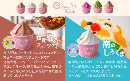 ジェラート マエストロ コンテスト 優勝 ！ 鹿児島 ジェラート 6個入り K121-001 アイスクリーム アイス ジェラート スイーツ マンゴー パッション ドラゴンフルーツ フルーツ 黒糖 塩キャラメル キャラメル チョコレート 抹茶 詰合せ 詰め合わせ セット 食べ比べ スイートスイーツ ふるさと納税 鹿児島 おすすめ ランキング プレゼント ギフト