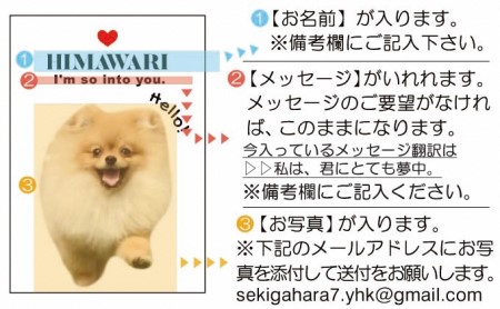 ペットの可愛いお写真をキーホルダーに♪うちの子アクリルキーホルダー（デザインA） 【A】ホワイト