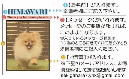 ペットの可愛いお写真をキーホルダーに♪うちの子アクリルキーホルダー（デザインB） 【C】ブルー