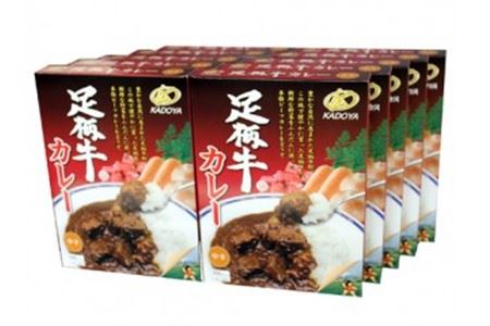 足柄牛を贅沢に使ったカレー200g×10個セット