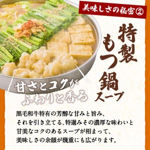 黒毛和牛もつ鍋セット2～3人前 K130-004 肉 牛肉 冷凍