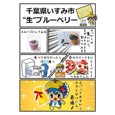いすみのブルーベリー_果物・フルーツ ブルーベリー  _【配送不可地域：離島】【1388556】