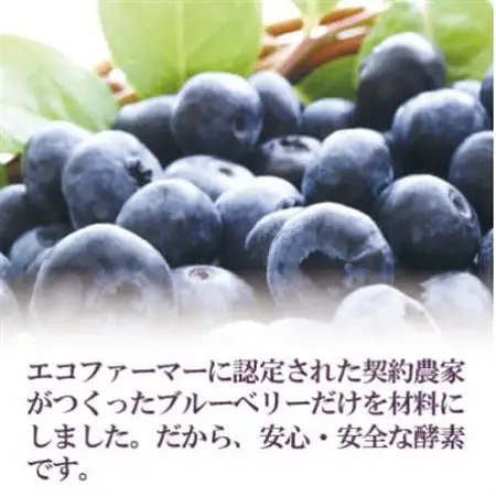 まるごとブルーベリー酵素_惣菜・加工品 果物 缶詰・瓶詰 _【配送不可地域：離島】【1393176】