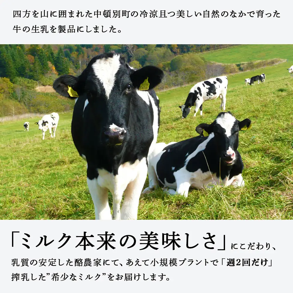 【定期便3ヶ月】なかとん牛乳 3本セット 200ml×2本 900ml×1本 成分無調整