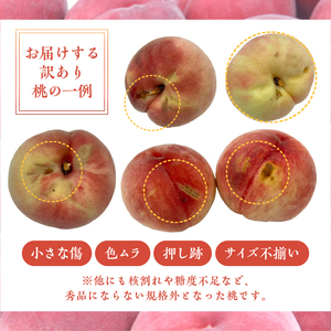 甲州市産 訳あり桃 約3kg（6～13玉）【2026年発送】（APX）B-198 桃 フルーツ