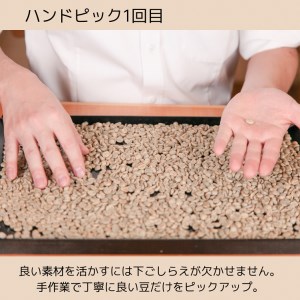 珈琲　自家焙煎　選べる３種×50ｇ／計150ｇ《森ノ本珈琲》（05-55）