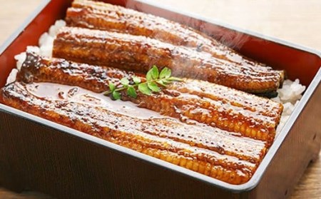 〈鰻大好き定期便〉四万十うなぎ蒲焼き≪大≫（160g x 6本）12カ月セット／ うなぎ うなぎ蒲焼 高知うなぎ 国産うなぎ うな重 鰻 国産鰻 高知鰻 冷凍鰻 鰻蒲焼 四万十うなぎ 土用の丑の日