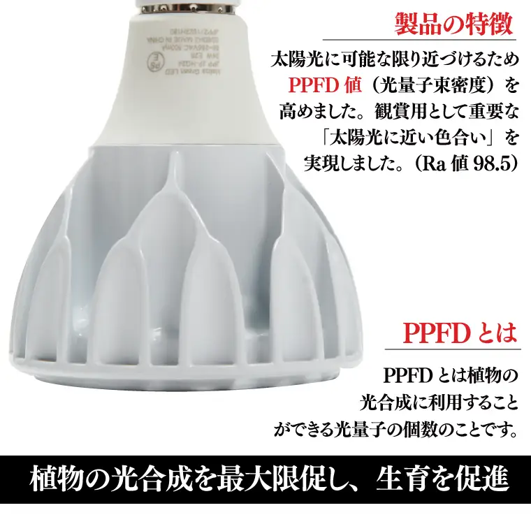 BN023-1　電球タイプの定番モデル10個セット。あらゆる植物・野菜・果樹にオールマイティーに使用できます。「ヘリオスグリーンLED (ホワイト)」