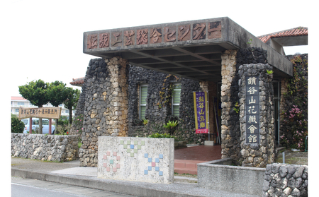 【伝統工芸　読谷山花織】月丸小銭入れ