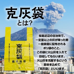 【公認】克灰袋デザインTシャツ ホワイト 5.6オンス Lサイズ K116-014_03