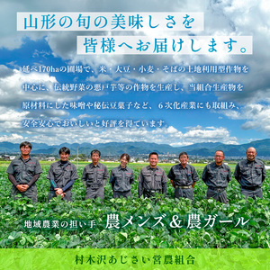 【令和7年産米】山形市村木沢産はえぬき(玄米)30kg ブランド米 山形 FZ26-928
